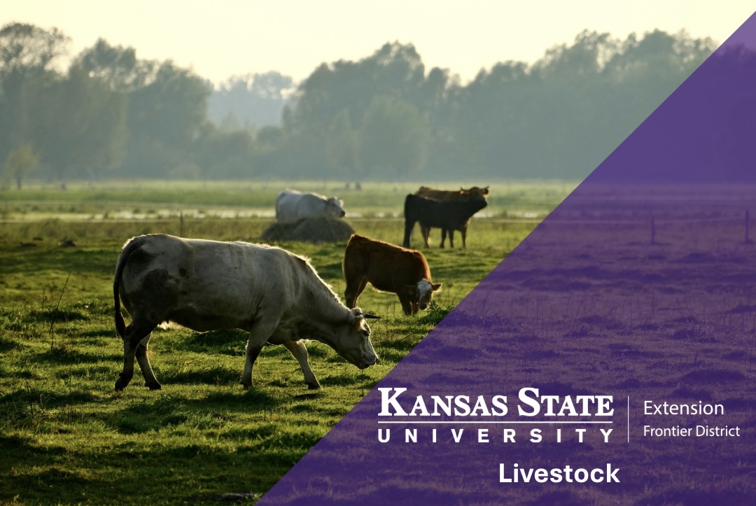 Livestock Banner