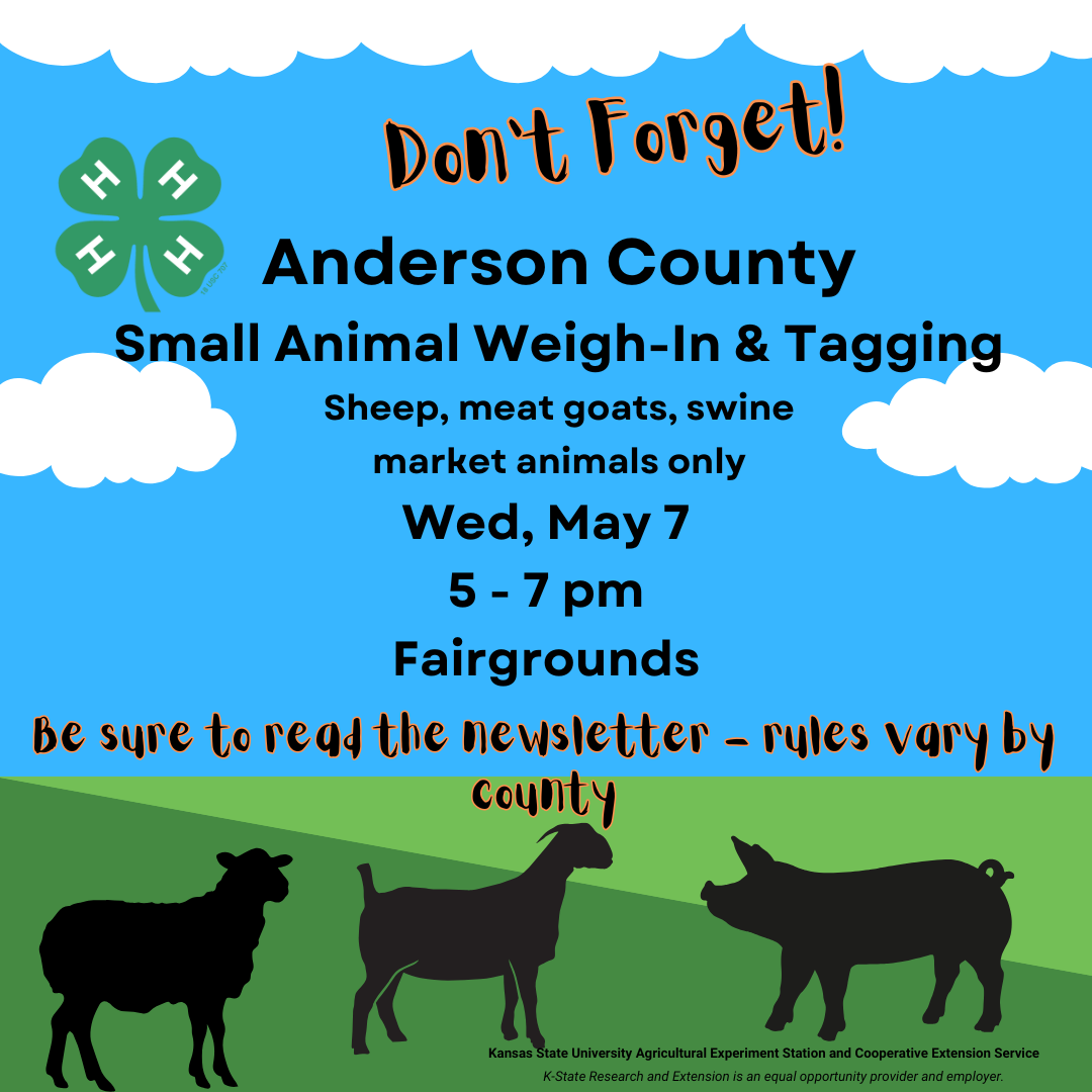 Small Animal Weigh-in and Tagging