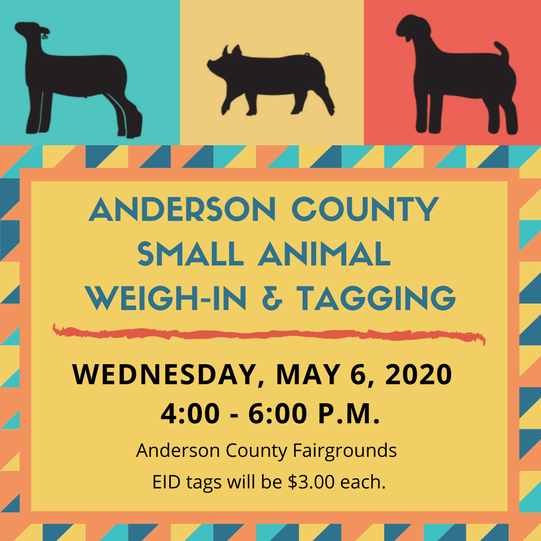 2020 AN CO Small Animal Weigh-in and Tagging