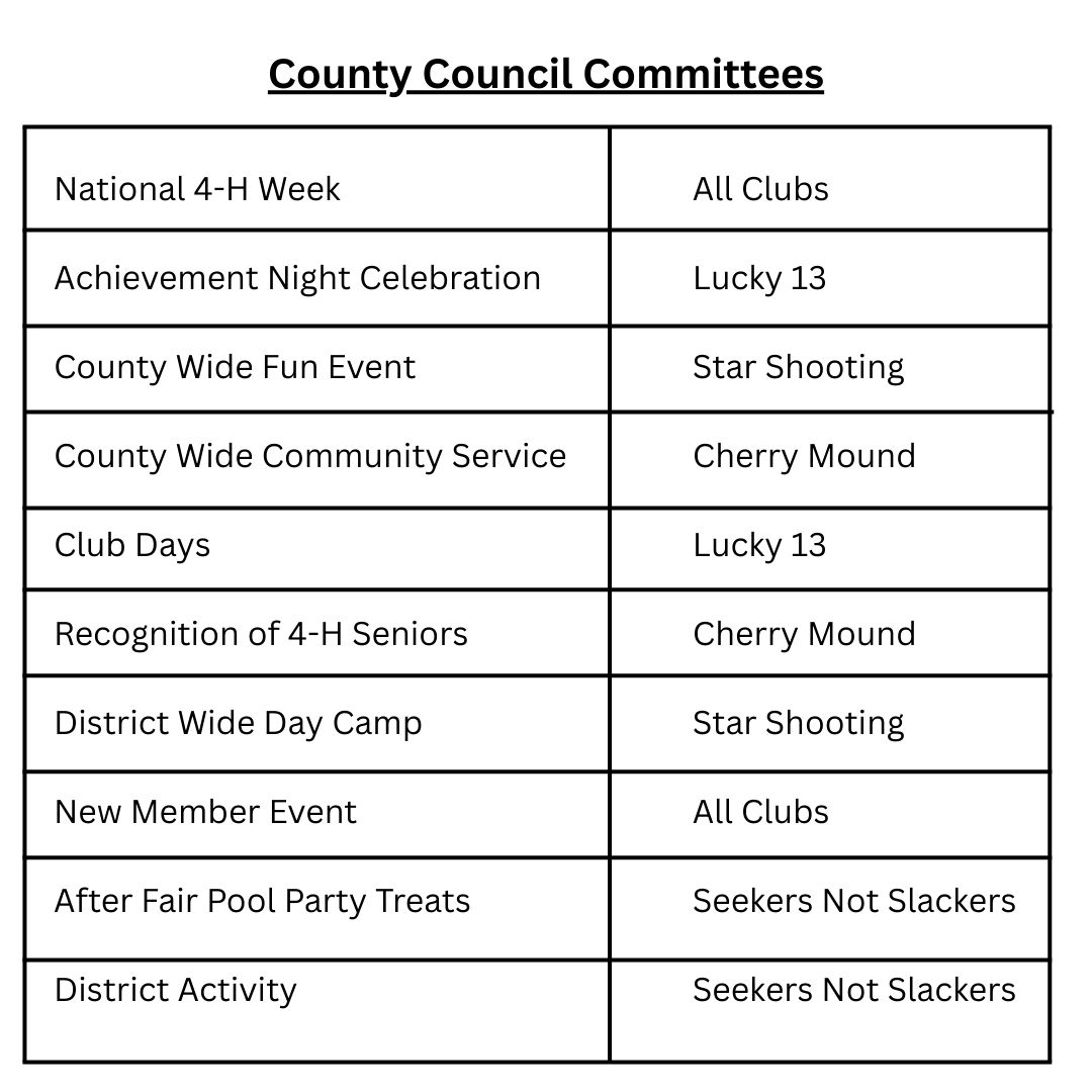 24-25 County Council Committees