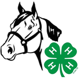 4-H Horse