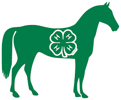 4-H Horse