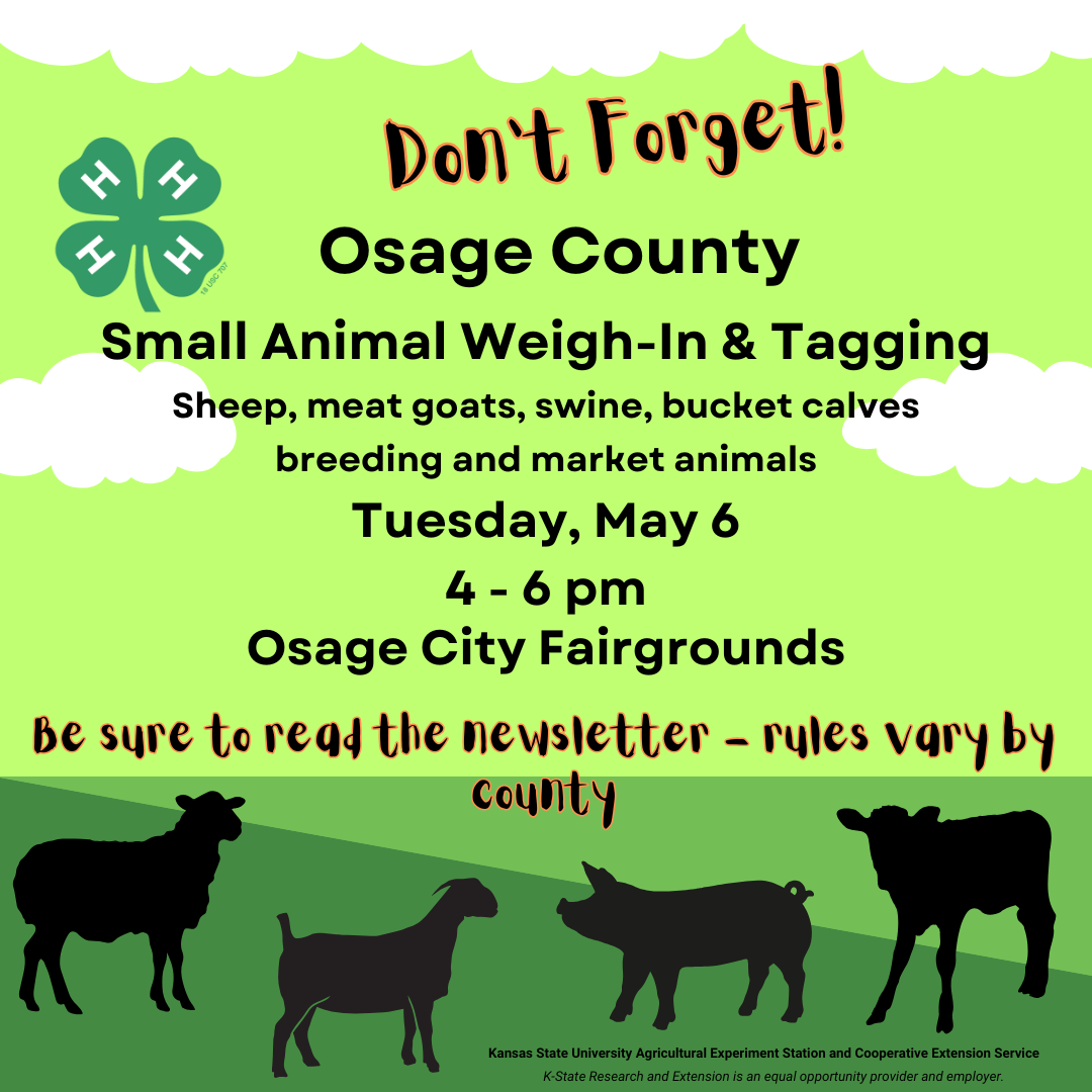 2025 OS CO Small Animal Weigh-in and Tagging