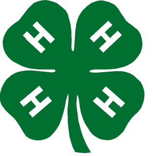 4h