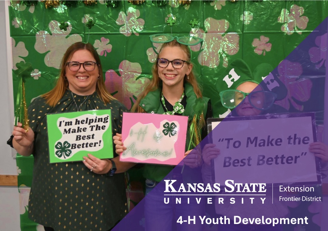 4-H Youth Develop Banner