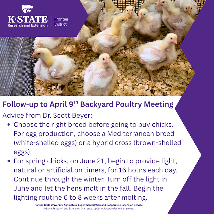 April 9, 2025 Backyard Poultry Mtg