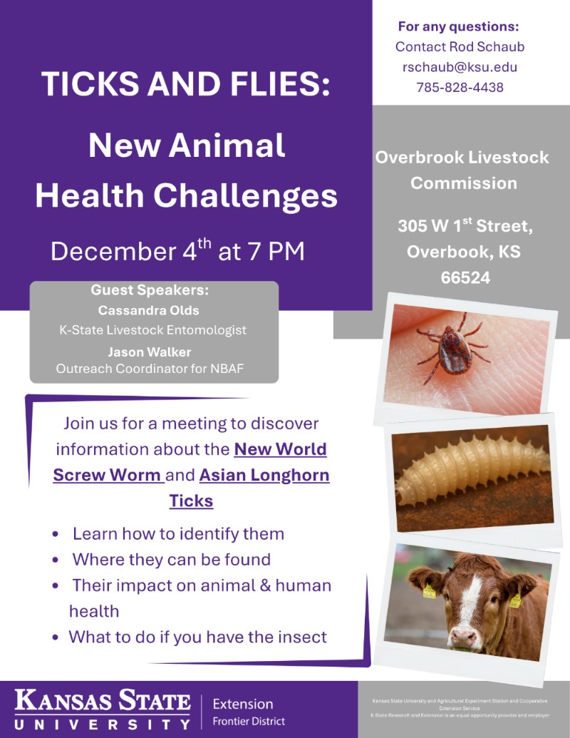 Ticks and Flies Meeting